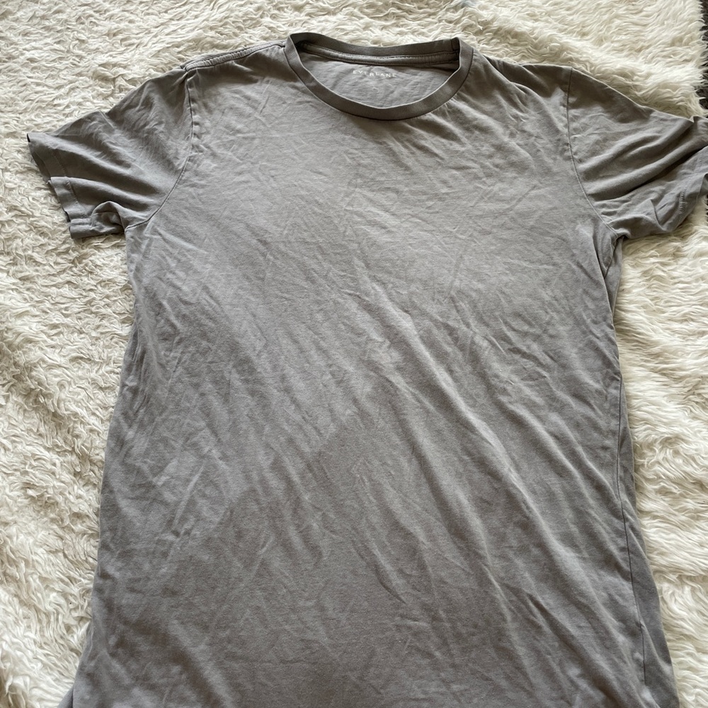 Everlane Classic t shirt in gray